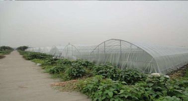 Chine fabrication blanche de maille de l'insecte 45gsm pour la serre chaude agricole d'anti abeilles fournisseur