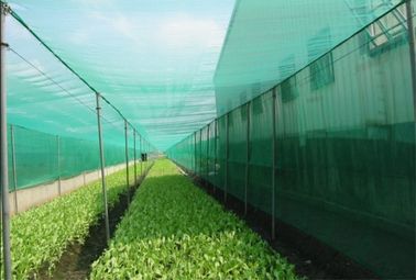 Chine Cultivez les filets de solution, la fabrication de solution de culture, 30Mesh, 40Mesh, 50Mesh, anti fabrication d'insecte fournisseur