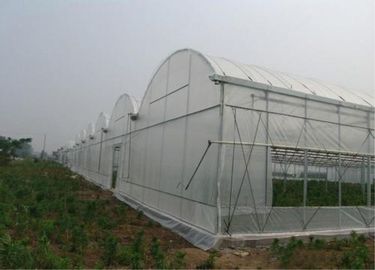 Chine Fabrication professionnelle de maille d'insecte, norme de GV d'IOS de grillage d'insecte fournisseur