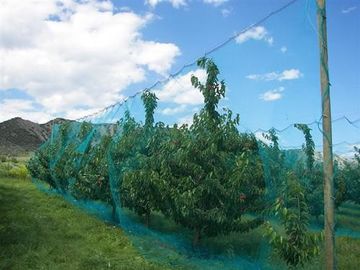 Chine Chaîne tricotée couvrant la fabrication de protection de sac de maille d'écran d'insecte d'arbre fruitier fournisseur