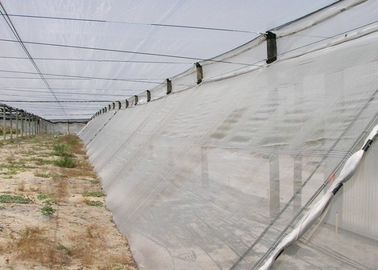 Chine Écran de moustiquaire de monofilament à maille fine, fabrication adaptée aux besoins du client d'écran de mouche fournisseur