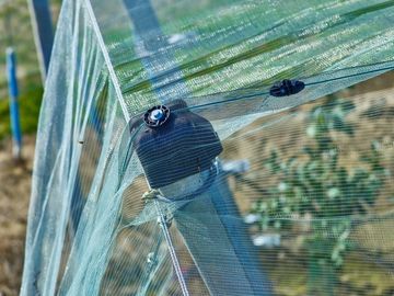 Chine Fabrication 100% de maille d'insecte du HDPE 4x50m pour la crèche de serre chaude/agricole fournisseur