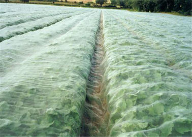 Chine Écran blanc de mouche de serre chaude agricole prenant l'anti aphis au filet pour le légume fournisseur