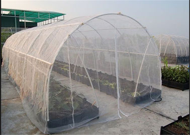 Chine Largeur légère élevée de la maille 3m du filet 30 de fenêtre d'insecte de l'efficacité 80gsm fournisseur