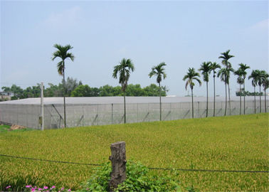 Chine Anti filet agricole de grêle d'oiseau de filet de jardin de fabrication de grêle pour les cultures d'usines protectrices fournisseur