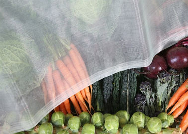 Chine Maille en plastique d'insecte de trou de maille de 1,35 x 1,35 millimètres pour la protection végétale de fruit fournisseur