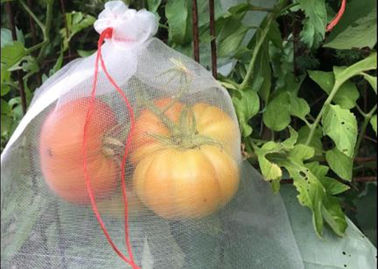 Chine Le fruit de Drawsting d'épargnant de fruit de PE protègent l'insecte de sacs que la fleur de sac de fabrication de maille se protègent fournisseur