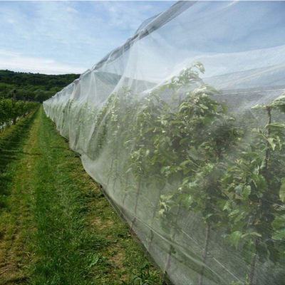 Chine Grêle de fabrication résistante UV de HDPE anti pour l'agriculture et le Gardenning fournisseur