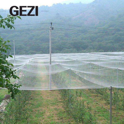 Chine 32 anti filets de jardin de filet d'insecte de maille, barrières de parasite pour protéger les fruits des usines de jardin contre des parasites d'oiseau, usine pour se protéger fournisseur