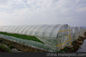 Fabrication de protection de grêle d'agriculture pour l'agriculture végétale de tunnel de serre chaude fournisseur