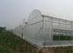 Fabrication de jardin de preuve d'insecte, longueur agricole de fabrication d'insecte adaptée aux besoins du client fournisseur