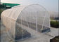 Largeur légère élevée de la maille 3m du filet 30 de fenêtre d'insecte de l'efficacité 80gsm fournisseur