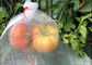 Le fruit de Drawsting d'épargnant de fruit de PE protègent l'insecte de sacs que la fleur de sac de fabrication de maille se protègent fournisseur