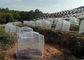 Preuve agricole d'insecte de couverture de fruits de fleurs de légumes de fabrication de maille d'insecte de cultures de jardin fournisseur