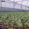 Le jardin de filet d'insecte de Gezi bon Mesh Tunnel Grow Insect Net pour des légumes des plantes fruitières 10 x 2,4 M Vegetable Protection Net fournisseur
