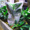 Grêle de fabrication résistante UV de HDPE anti pour l'agriculture et le Gardenning fournisseur