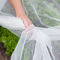 Sac net en nylon de sacs de filet de barrière d'insecte de serre chaude blanche de la Chine anti pour des raisins fournisseur