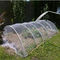 Filet 100% en nylon d'anti-oiseau de tissus d'Anti-insecte de HDPE en gros de filet pour le jardin agricole Mesh Protective Net de serre chaude fournisseur