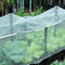 HDPE net Mesh Fabric d'anti d'insecte d'aphis de drosophile protection de mouche à fruit pour l'usine végétale de fabrication de couverture de jardin fournisseur