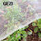 0.3×0.3mm 100% mailles nettes de Greenhous d'insecte agricole UV de Resistat de Vierge pour l'usine végétale de fabrication de couverture de jardin fournisseur