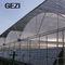 La nouvelle Chambre de couleur verte de Blcak Begie de matériel de HDPE ombragent les 70 légumes nets pour la fabrication de filet de serre chaude fournisseur