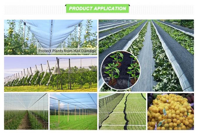 60 matières plastiques agricoles de HDPE de fabrication de jardin de preuve d'insecte de maille