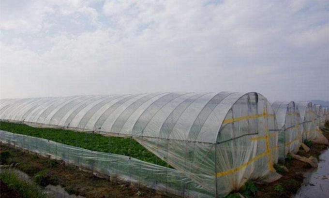 Fabrication de protection de grêle d'agriculture pour l'agriculture végétale de tunnel de serre chaude