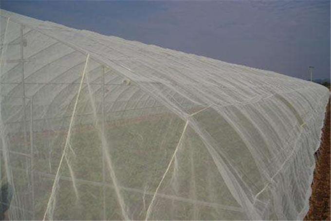 Anti- maille d'insecte d'aphis prenant les matériaux au filet 100% de HDPE de la maille 50*25