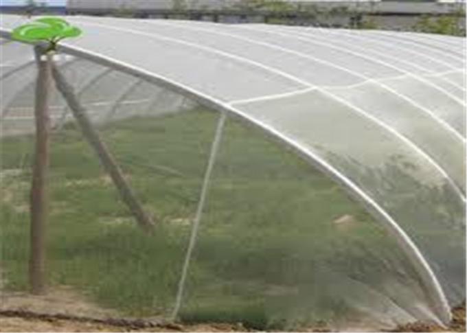 Fabrication 100% de maille d'insecte du HDPE 4x50m pour la crèche de serre chaude/agricole