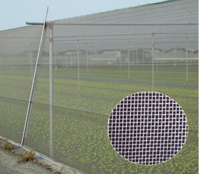 Nouvelle maille 100%, tissu de protection d'insecte de HDPE d'origine de fabrication d'insecte pour extérieur