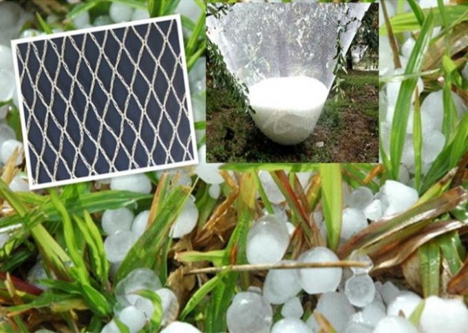 Fabrication en plastique de maille d'insecte de HDPE durable pour la protection endommagée par culture