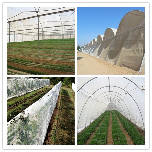 Fabrication de jardin de preuve d'insecte, longueur agricole de fabrication d'insecte adaptée aux besoins du client