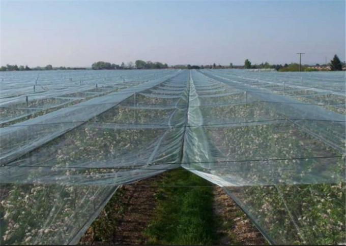 Filet agricole clair de protection de grêle de filet de grêle pour la garde de grêle de pommiers Prenant l'anti maille au filet