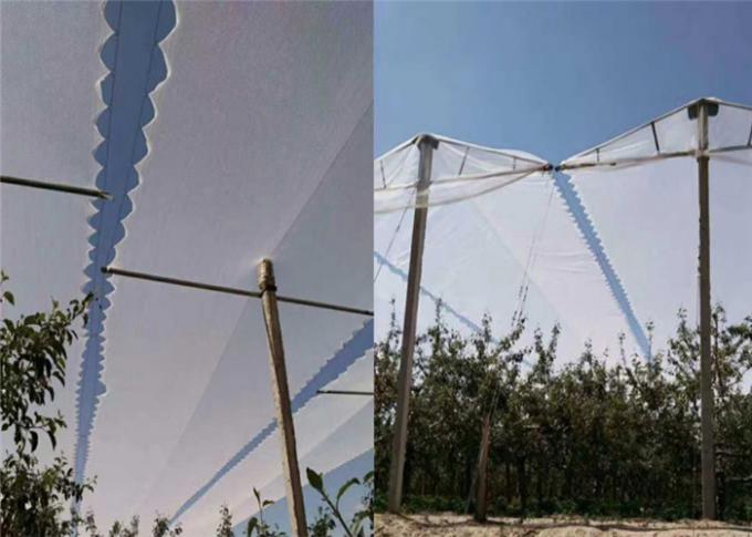 Protection agricole avec la fabrication nette UV de maille d'insecte de verger et l'anti grêle pour des pommiers