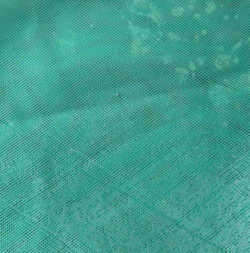 Anti fabrication de maille d'insecte de virus, maille verte d'impression d'écran de polyester