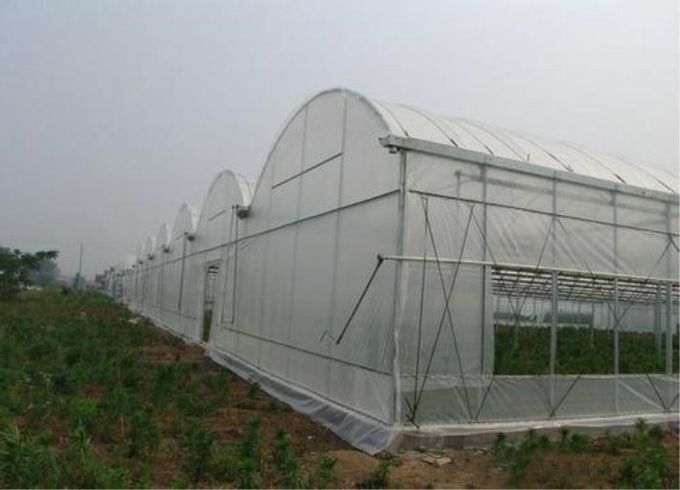60 matières plastiques agricoles de HDPE de fabrication de jardin de preuve d'insecte de maille