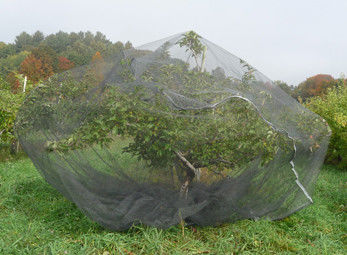 Chaîne tricotée couvrant la fabrication de protection de sac de maille d'écran d'insecte d'arbre fruitier