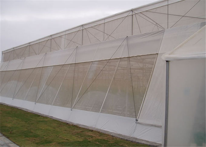 Fabrication de jardin de preuve d'insecte de HDPE/anti certification d'OIN de filet de grêle