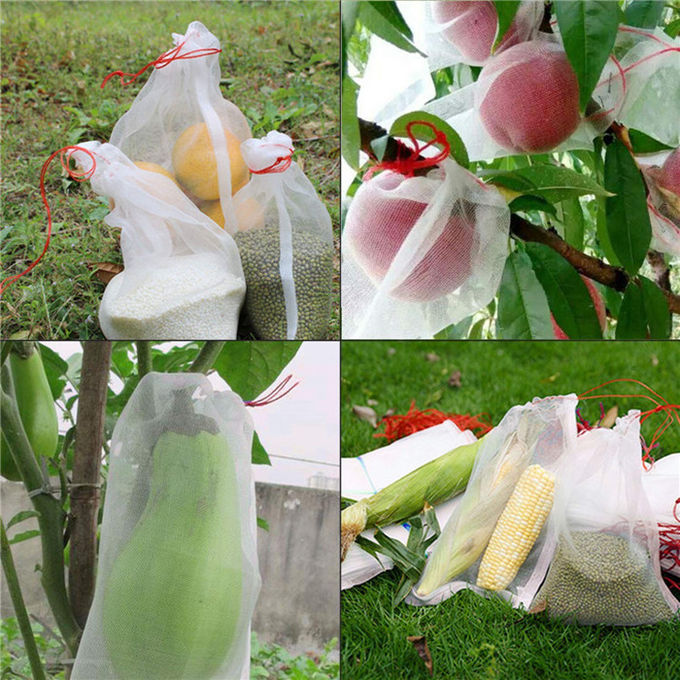 Le fruit de Drawsting d'épargnant de fruit de PE protègent l'insecte de sacs que la fleur de sac de fabrication de maille se protègent