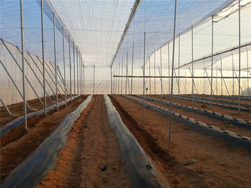 Chine 250 mètres d'insecte de maille d'écran, fabrication 100% de protection d'insecte de serre chaude de HDPE fournisseur