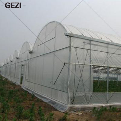 Chine Gezi bon Mesh Insect Protection Net pour le jardin, serre chaude, usines, fruit, fleurs, cultures, insectifuge fournisseur
