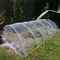 Filet de barrière d'oiseau d'insecte avec la couverture d'usine de filet d'insecte de jardin de cordon utilisée pour protéger des fruits et des fleurs d'usine fournisseur