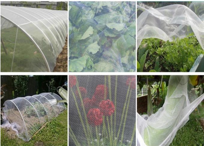 Preuve agricole d'insecte de couverture de fruits de fleurs de légumes de fabrication de maille d'insecte de cultures de jardin