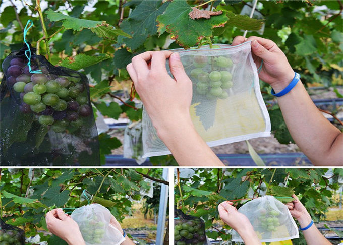 Fabrication de maille d'insecte de jardin de sac de maille d'agriculture cultivant le sac net de maille de barrière de mouche de parasite d'insecte de couverture de fruit de légumes